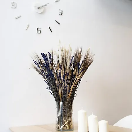 Appartement Cosy Duplex Centro